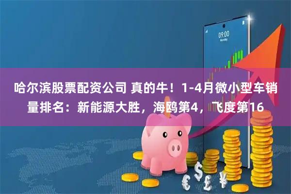 哈尔滨股票配资公司 真的牛！1-4月微小型车销量排名：新能源大胜，海鸥第4，飞度第16